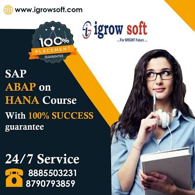 SAP  ABAP HANA Online Training Institute| Igrowsoft